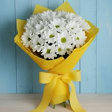Букет цветов из:  Хризантемы в Павловске Воронежской области