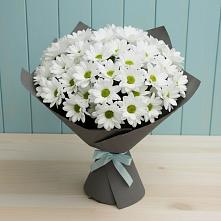 Букет цветов из:  Хризантемы #REPLACE_PRED# Павловске Воронежской области