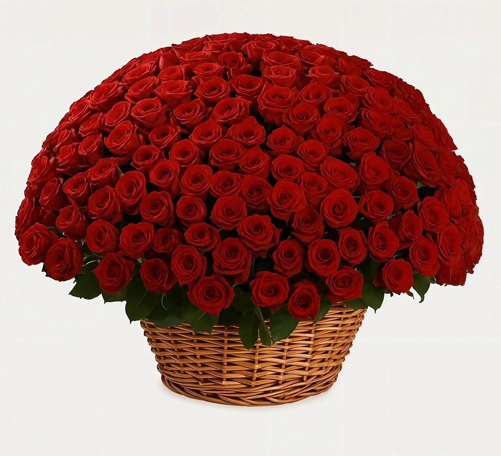 Премиум букет из: Розы в Павловске Воронежской области