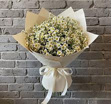 Букет цветов из:  Ромашки #REPLACE_PRED# Павловске Воронежской области