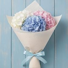 Букет цветов из:  Гортензия #REPLACE_PRED# Павловске Воронежской области