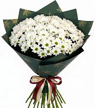 Букет цветов из:  Хризантемы #REPLACE_PRED# Павловске Воронежской области