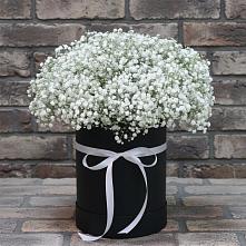 Цветочная композиция из Гипсофила в шляпной коробке в Павловске Воронежской области