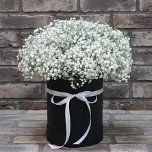 Цветочная композиция из Гипсофила в шляпной коробке в Павловске Воронежской области