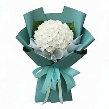 Букет цветов из:  Гортензия в Павловске Воронежской области